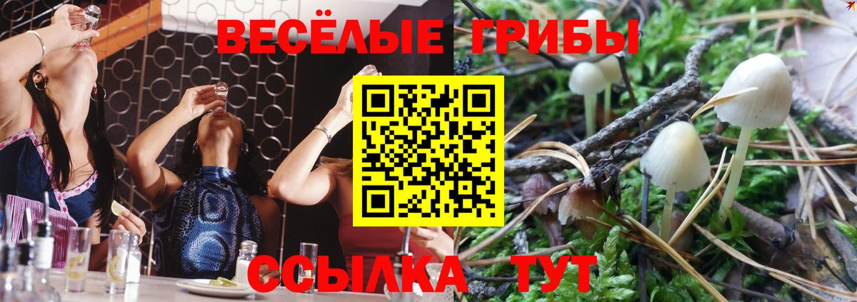 Михайловск  Псилоцибиновые грибы ЛСД  Псилоцибиновые грибы MAGIC MUSHROOMS  Вход с VPN 