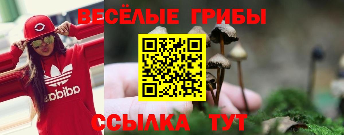 Галлюциногенные грибы MAGIC MUSHROOMS Михайловск